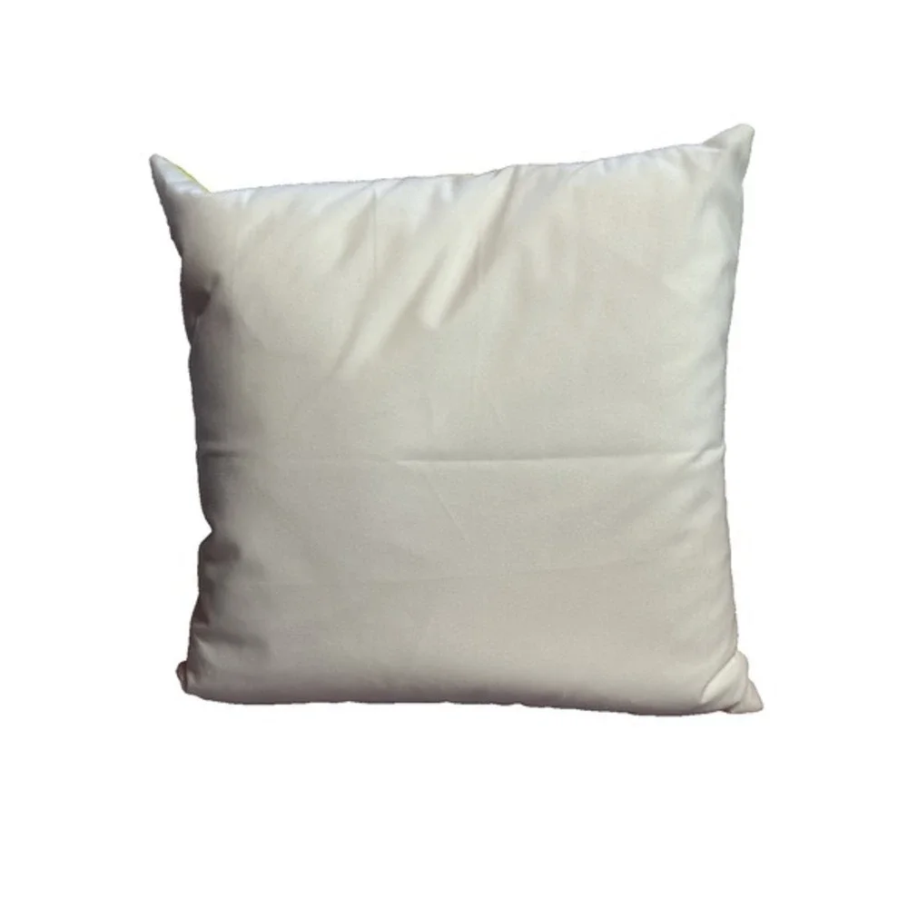 NEW novelty throw pillow‎ 18x18 inches pillowcase & insert included cheez balls